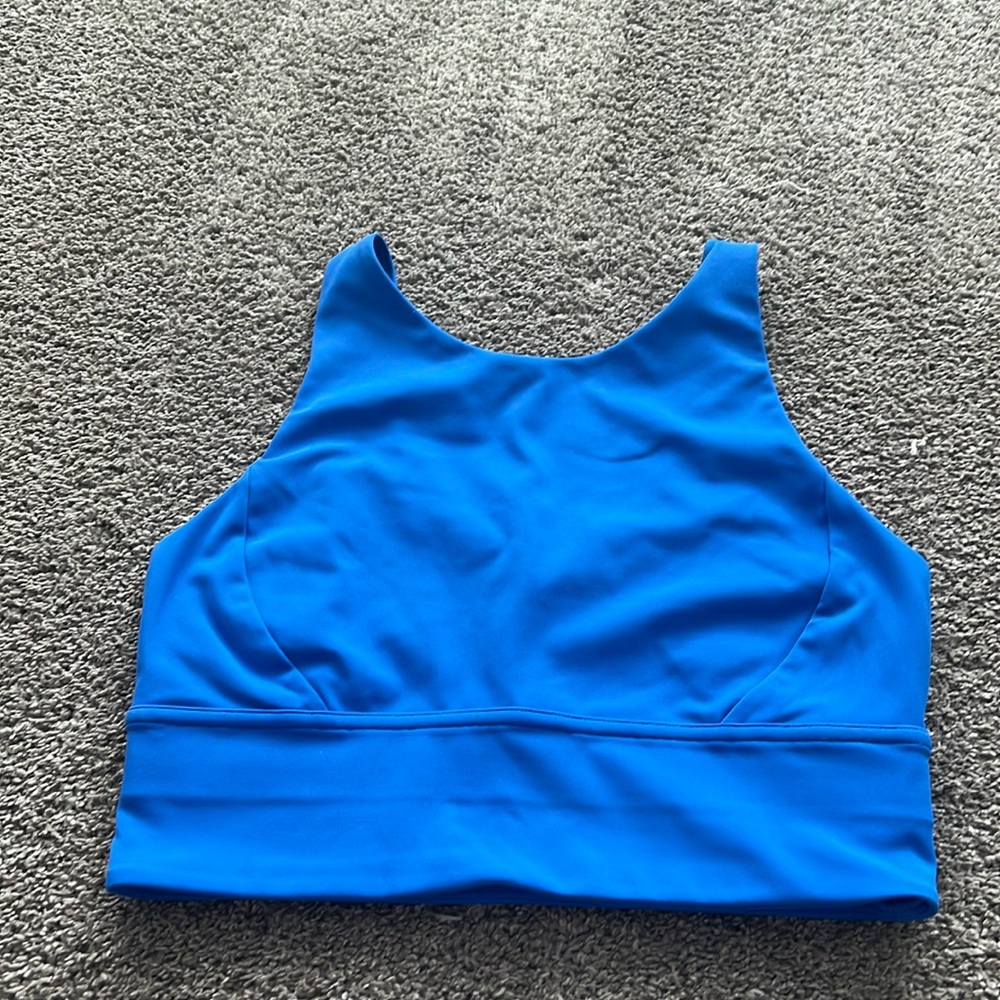 lululemon athletica Blue Sports Bra